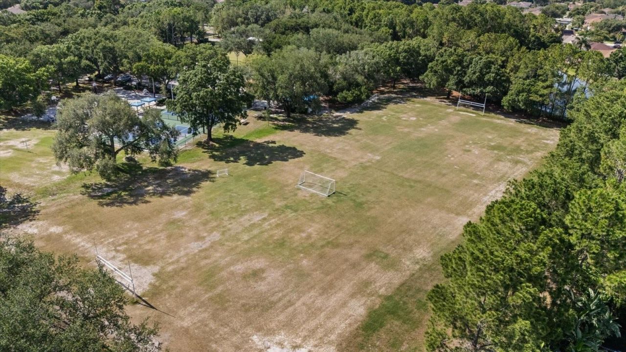 4151 La Salle Drive, Palm Harbor, FL 34685 Photo