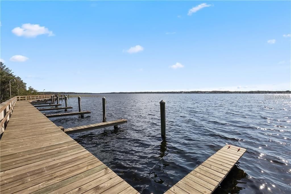 4151 La Salle Drive, Palm Harbor, FL 34685 Photo