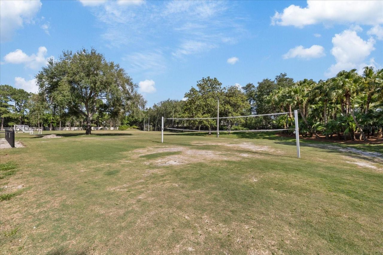 4151 La Salle Drive, Palm Harbor, FL 34685 Photo