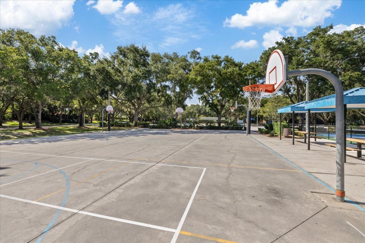4151 La Salle Drive, Palm Harbor, FL 34685 Photo