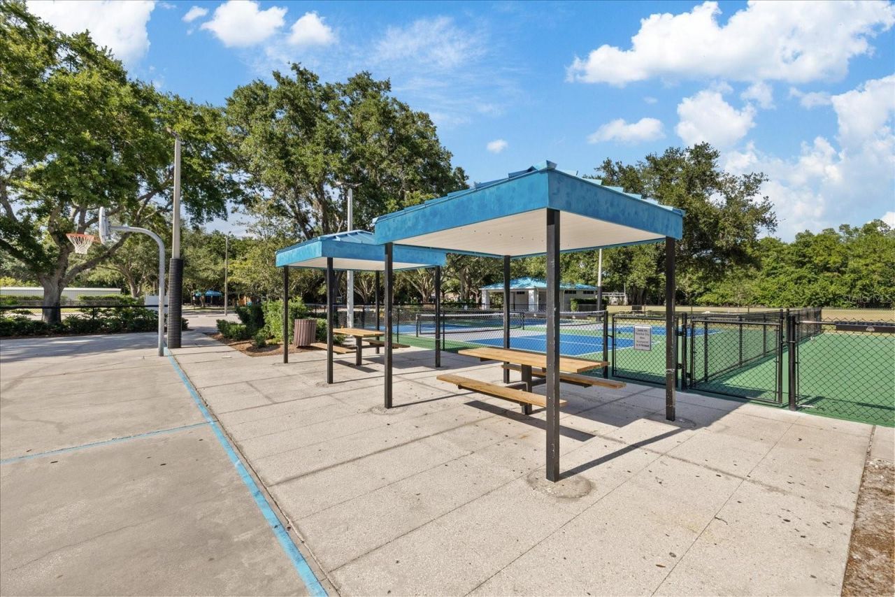 4151 La Salle Drive, Palm Harbor, FL 34685 Photo