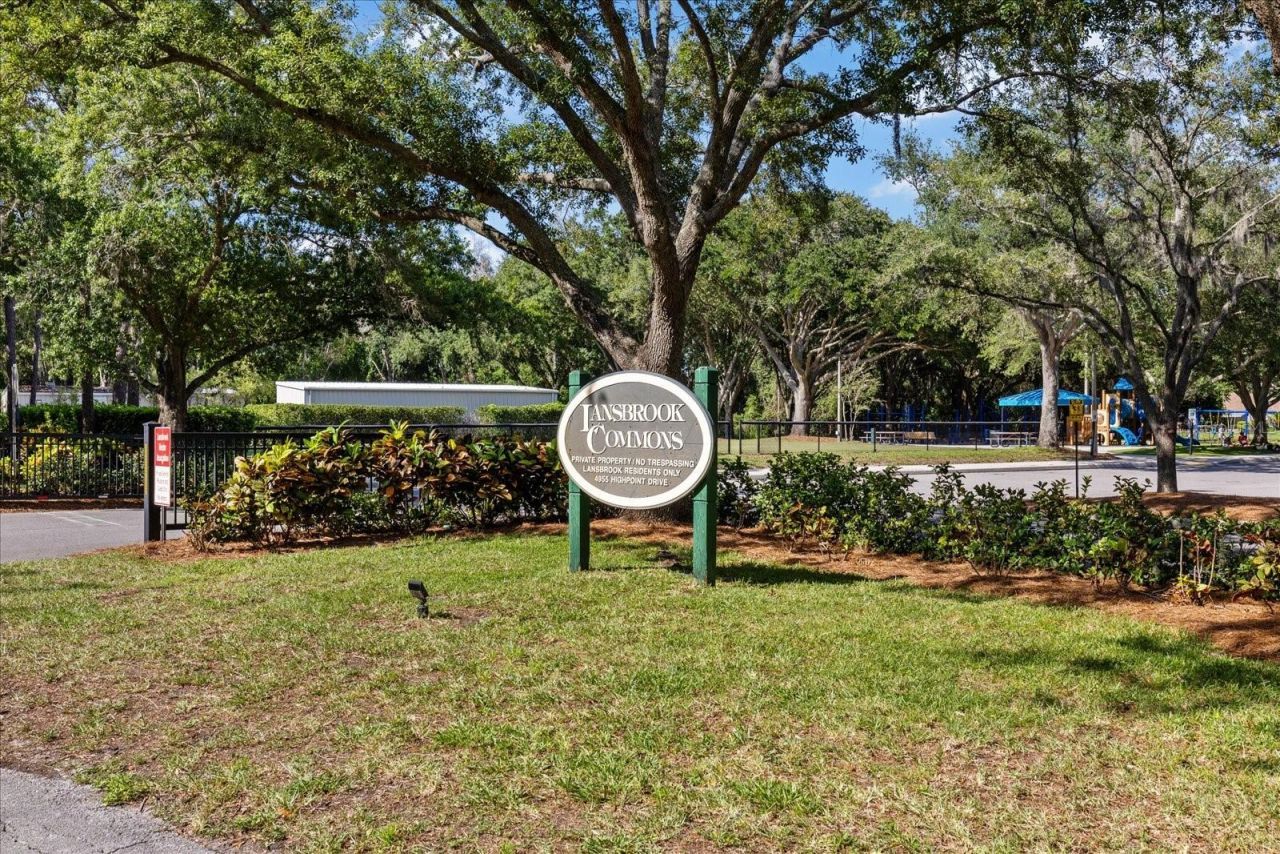 4151 La Salle Drive, Palm Harbor, FL 34685 Photo