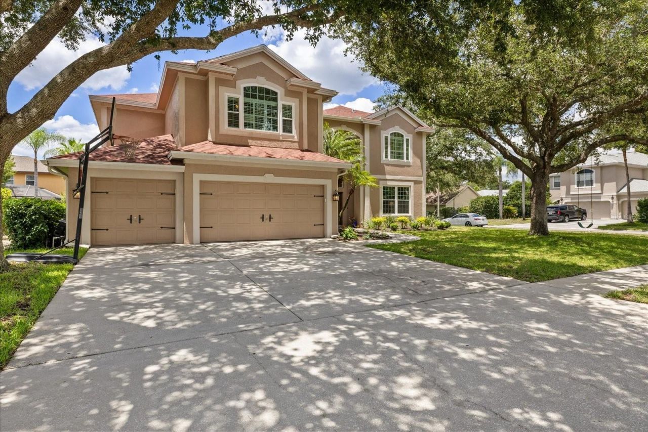 4151 La Salle Drive, Palm Harbor, FL 34685 Photo