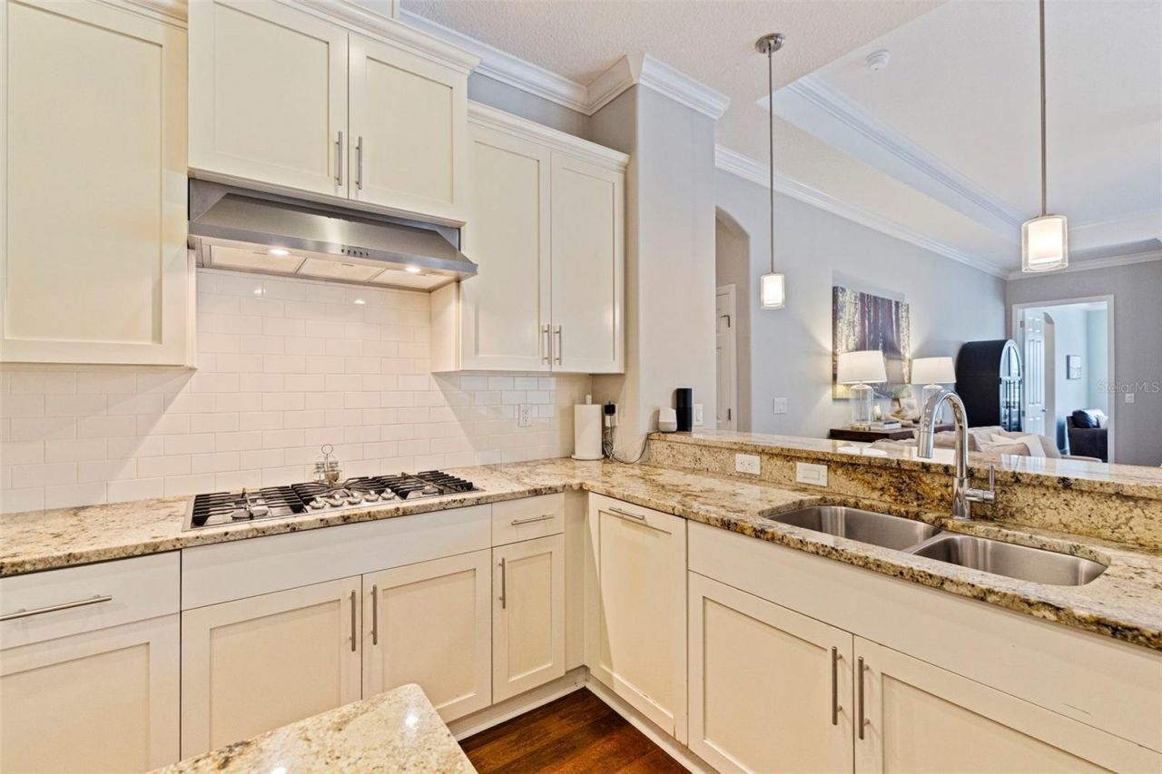 3162 Foxwood Lane, Tarpon Springs, FL 34688 Photo