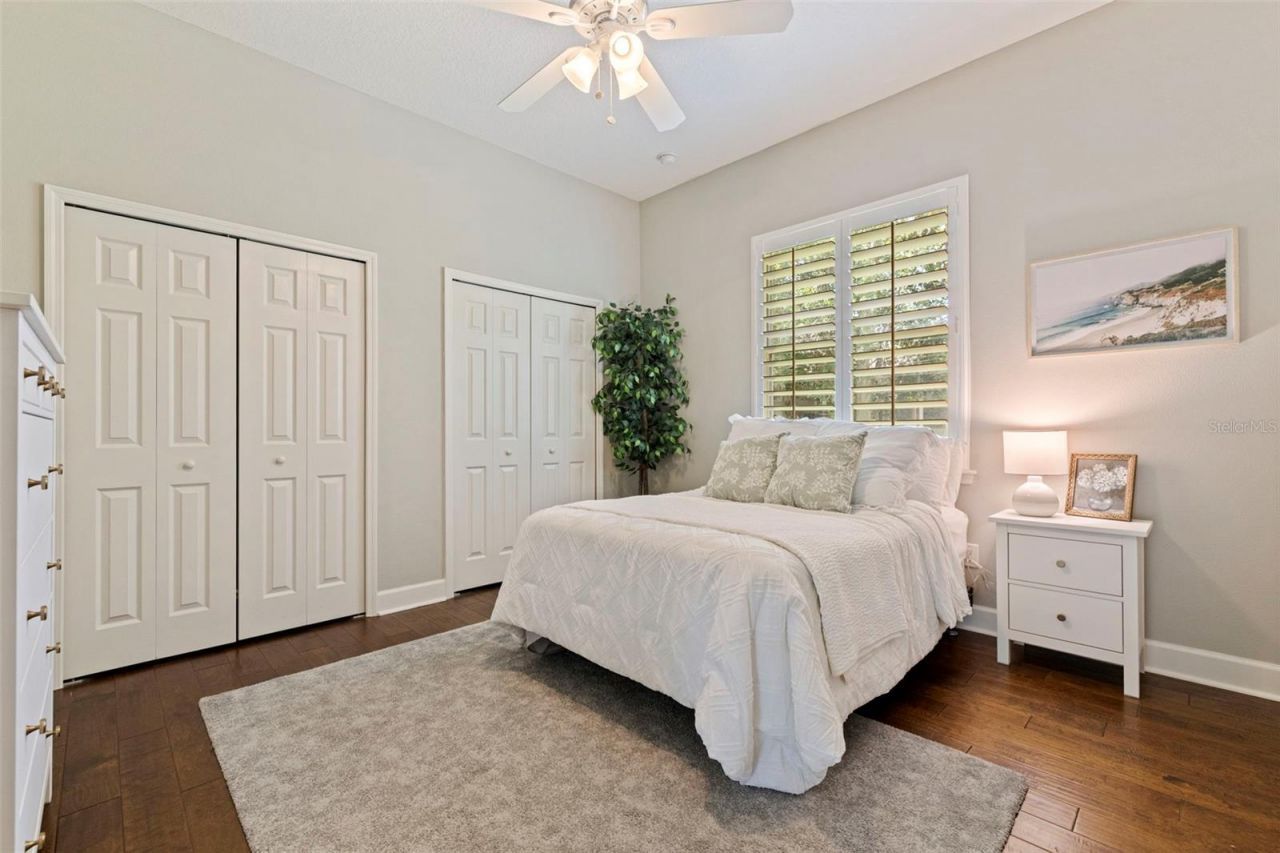 3162 Foxwood Lane, Tarpon Springs, FL 34688 Photo