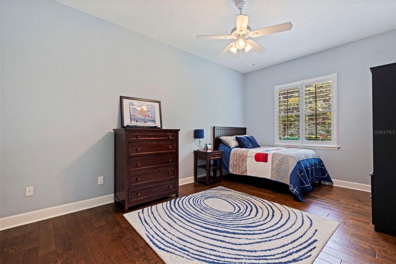 3162 Foxwood Lane, Tarpon Springs, FL 34688 Photo