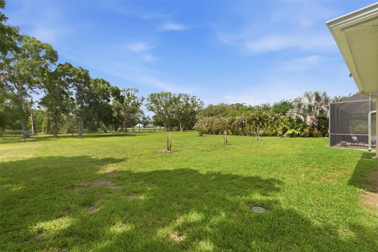 3162 Foxwood Lane, Tarpon Springs, FL 34688 Photo