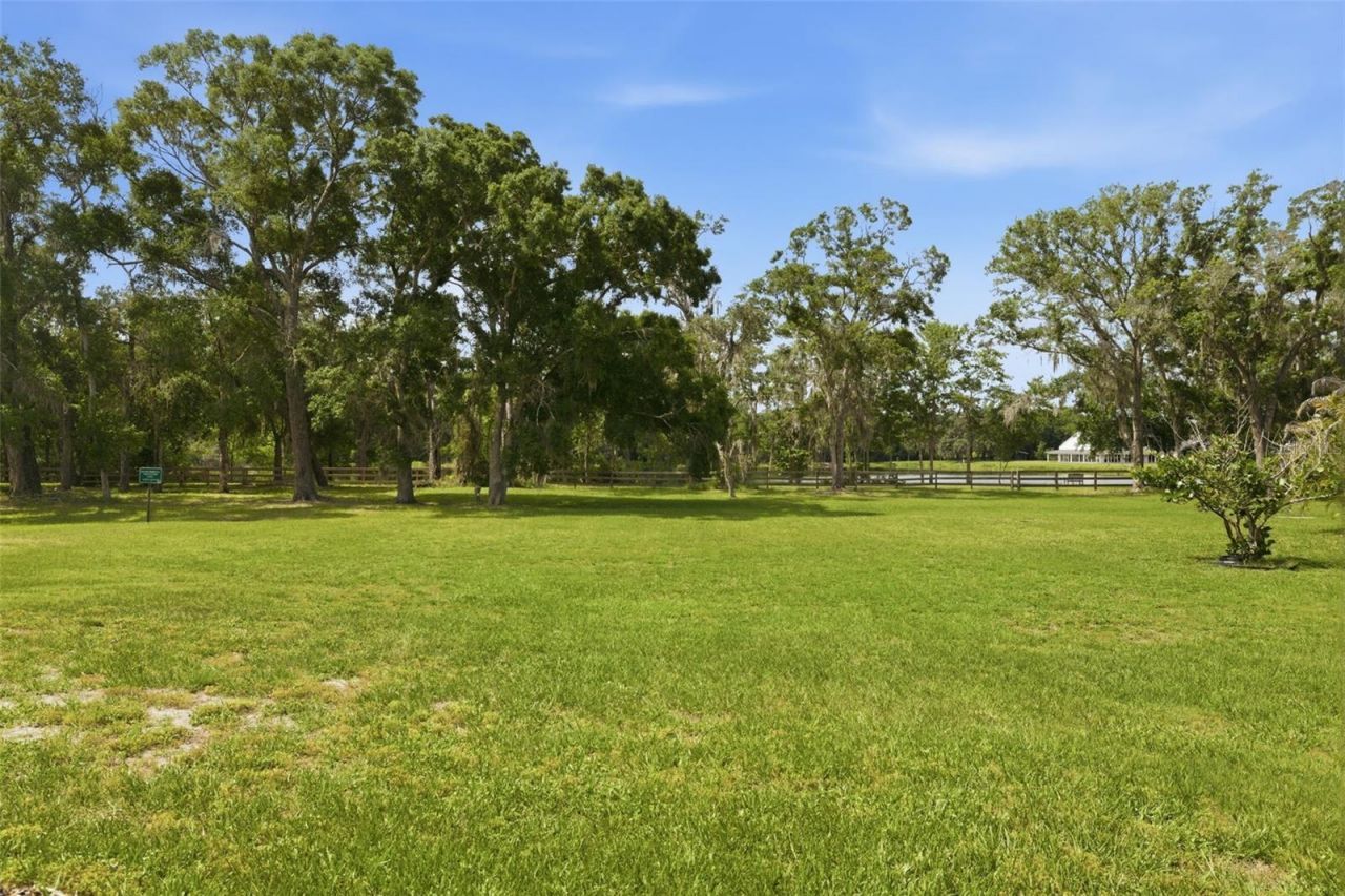 3162 Foxwood Lane, Tarpon Springs, FL 34688 Photo