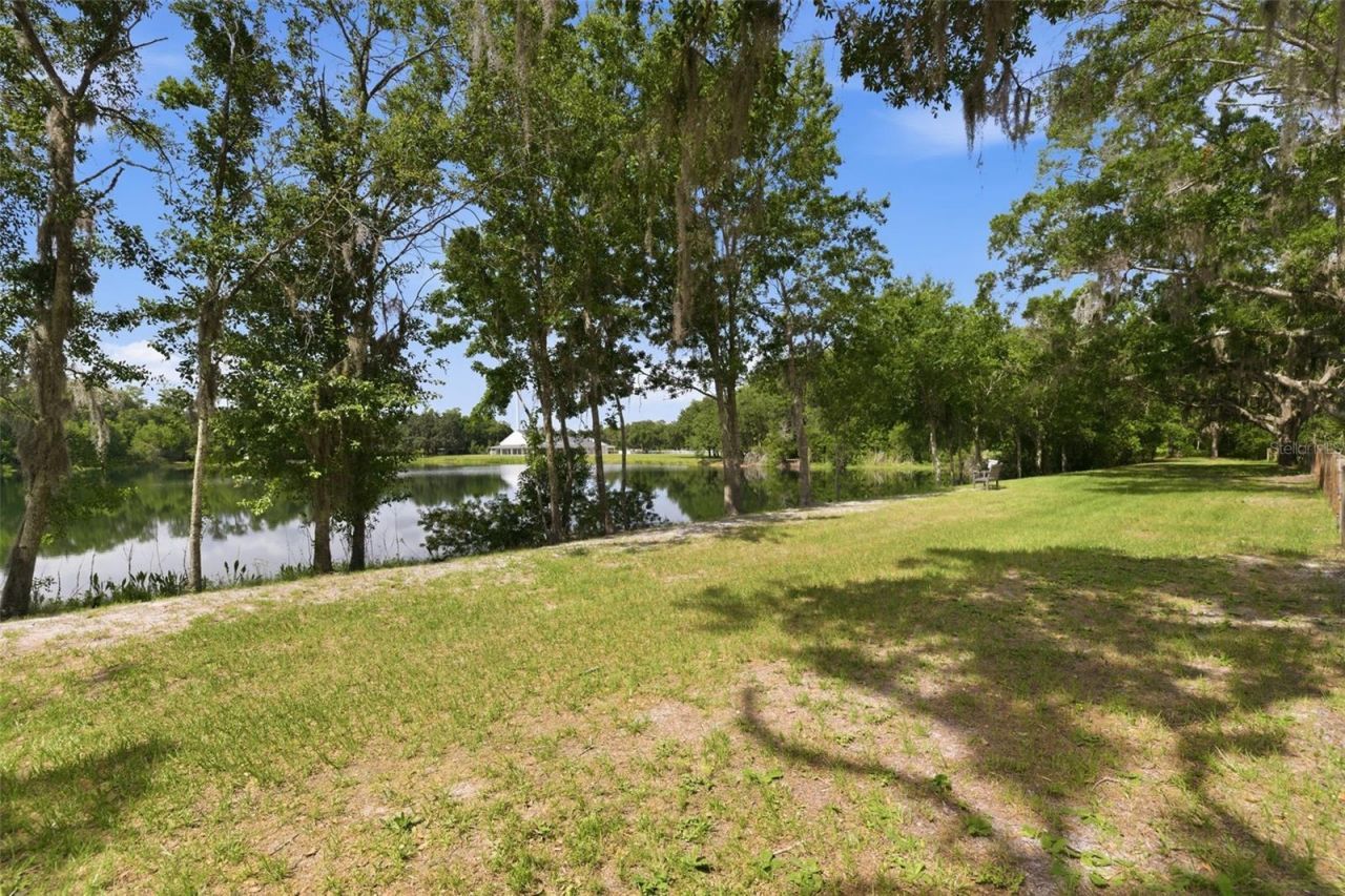 3162 Foxwood Lane, Tarpon Springs, FL 34688 Photo