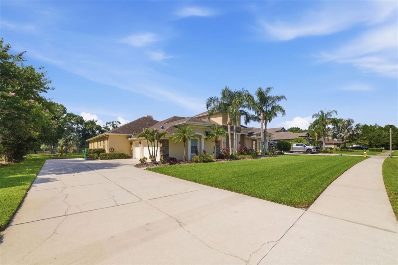 3162 Foxwood Lane, Tarpon Springs, FL 34688 Photo