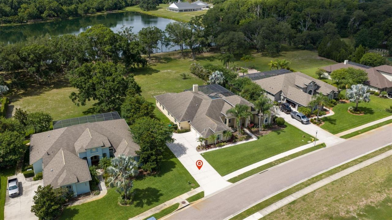 3162 Foxwood Lane, Tarpon Springs, FL 34688 Photo