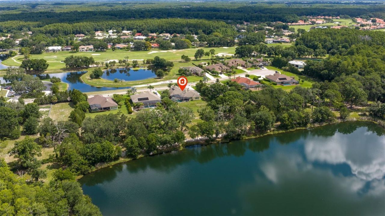 3162 Foxwood Lane, Tarpon Springs, FL 34688 Photo