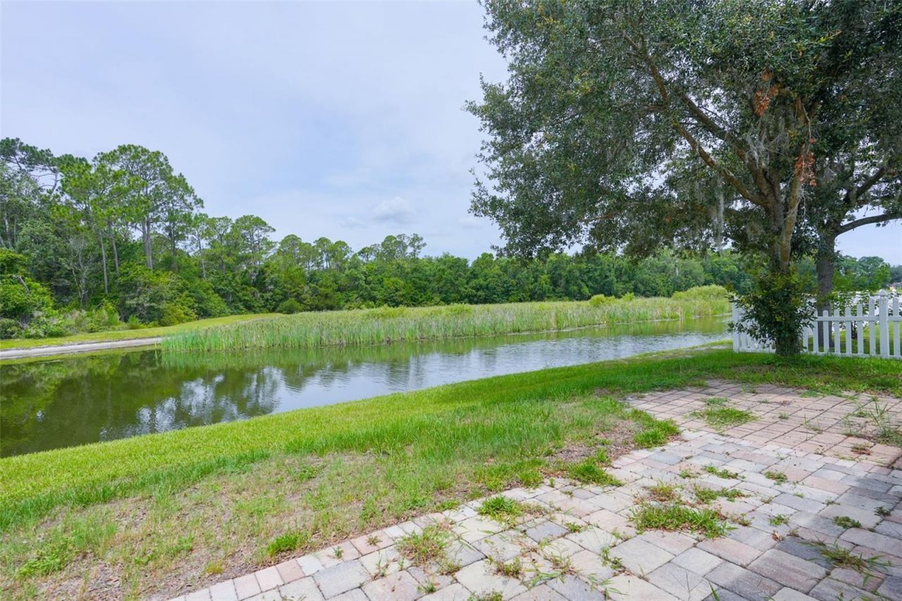 6019 Evansbrook Drive , Zephyrhills, FL 33541 Photo