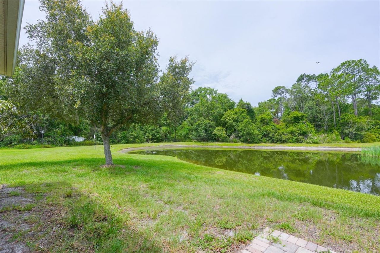 6019 Evansbrook Drive , Zephyrhills, FL 33541 Photo