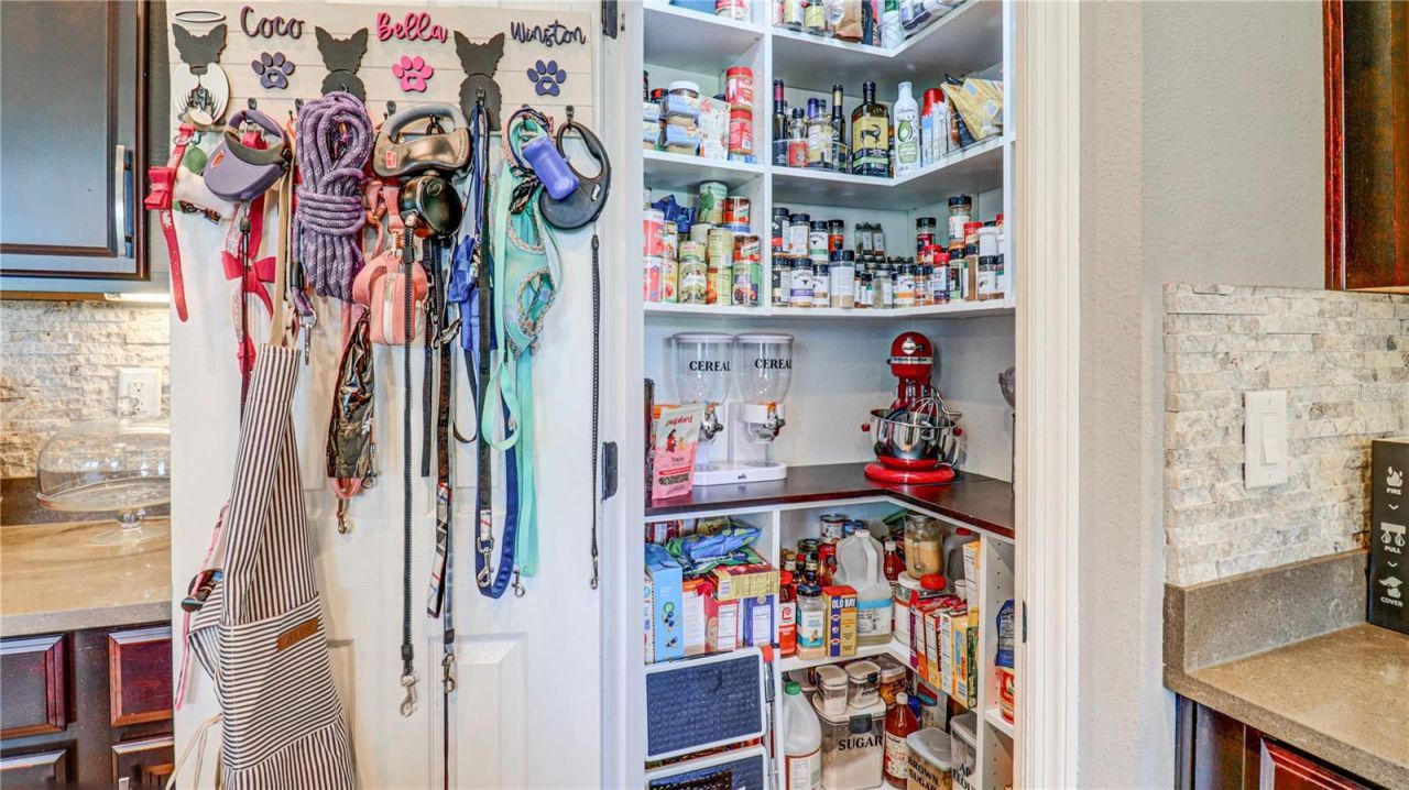 7651 Windchase Way , Wesley Chapel, FL 33545 Photo