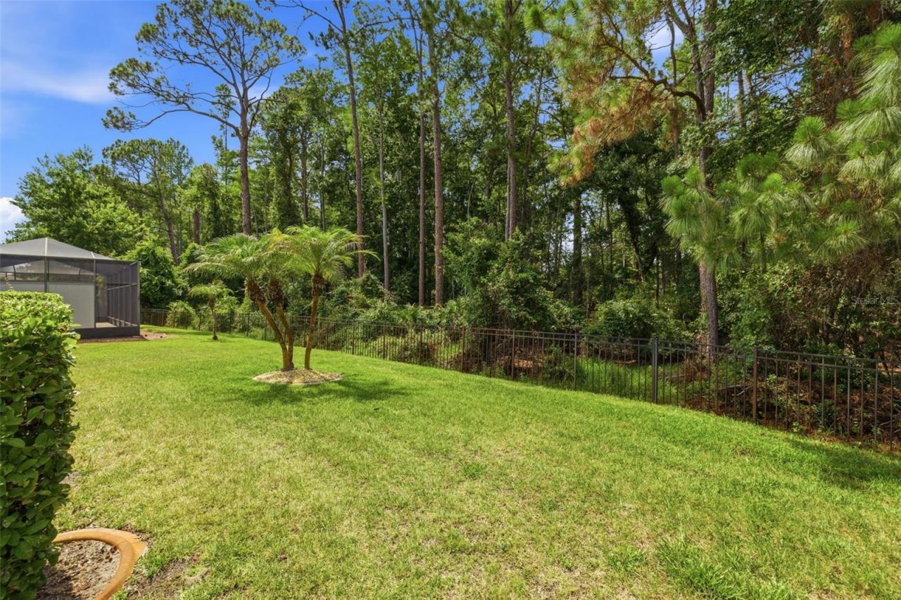 11501 Bloomington Court , New Port Richey, FL 34654 Photo