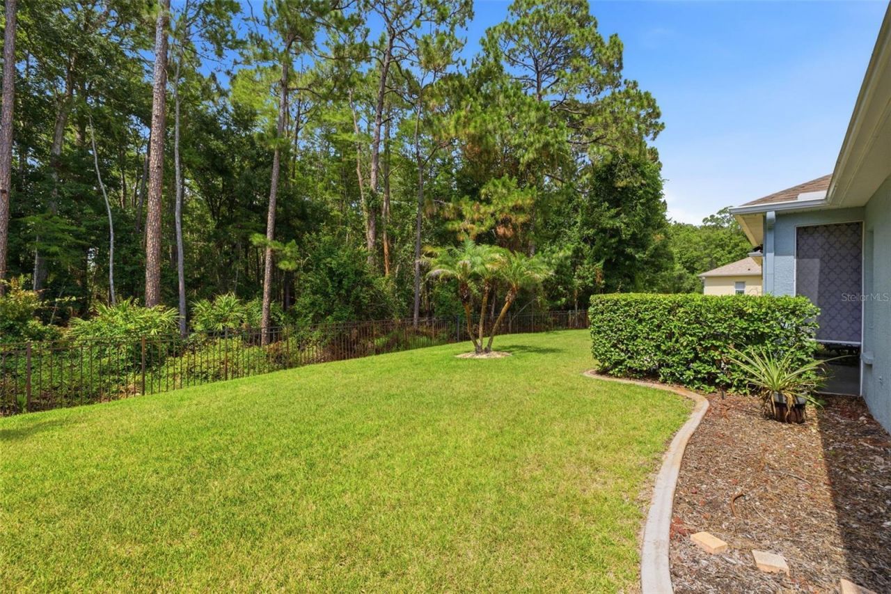 11501 Bloomington Court , New Port Richey, FL 34654 Photo