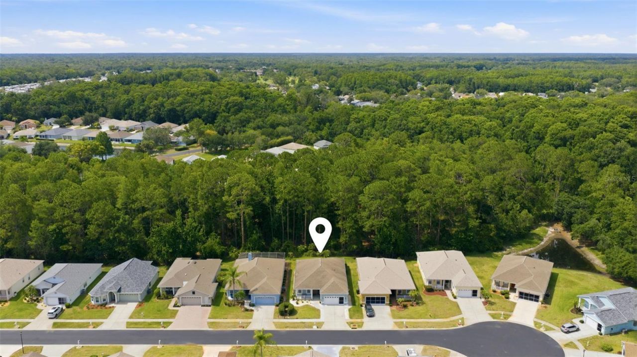 11501 Bloomington Court , New Port Richey, FL 34654 Photo