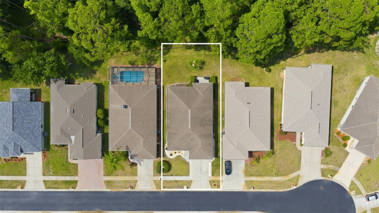 11501 Bloomington Court , New Port Richey, FL 34654 Photo