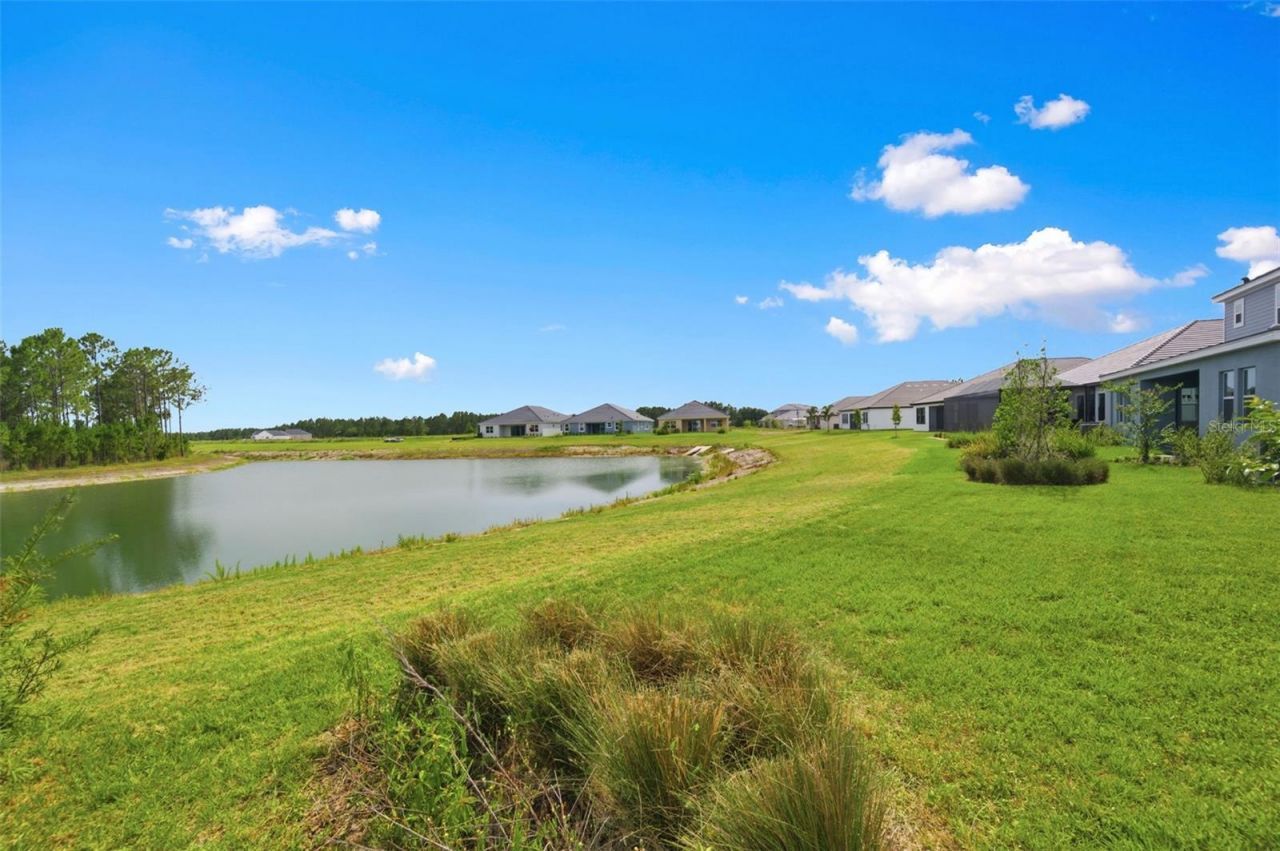 2592 Wise River Lane , Zephyrhills, FL 33541 Photo
