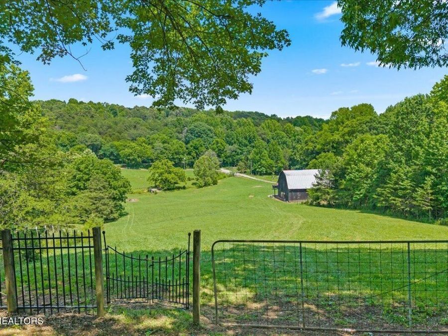 Property Image 58
