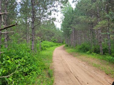 1045B State Trail , Nevis, MN 56467