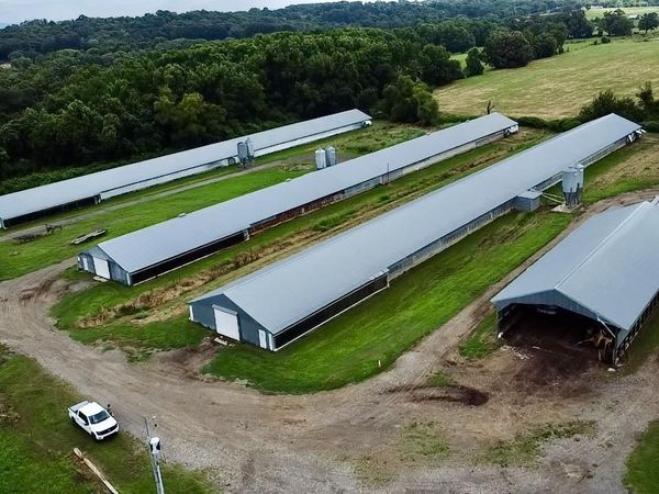 551 County Road 2099, Coal Hill, AR 72832