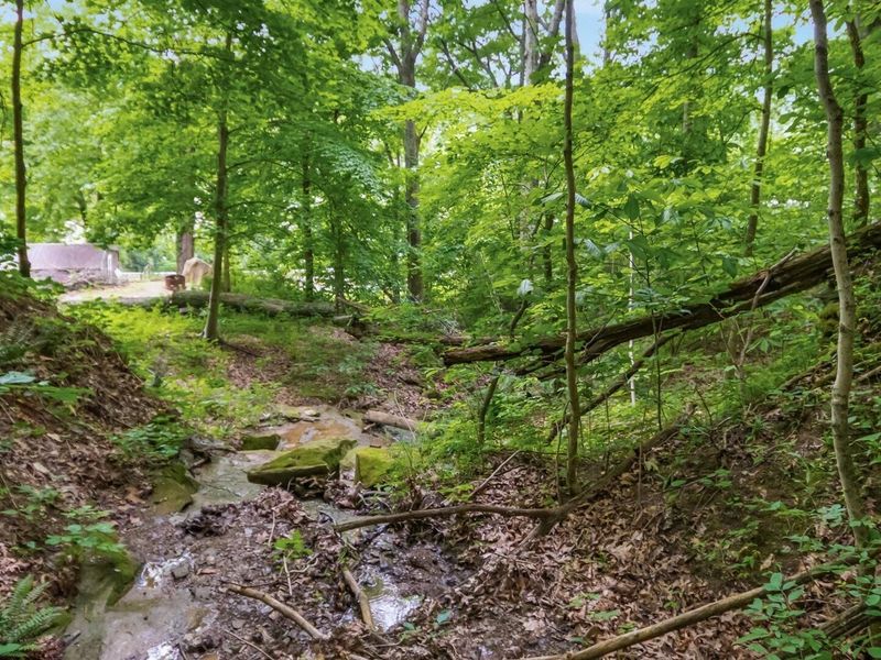 2518 State Route 376, Stockport, OH 43787 Photo 18