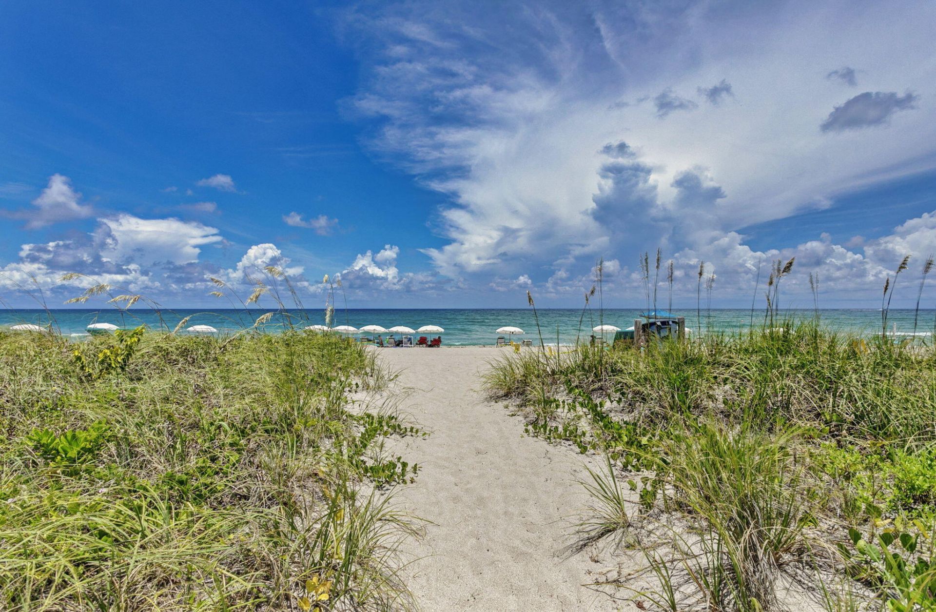 145 S Ocean Avenue, Unit 219, Palm Beach Shores, FL 33404 Photo