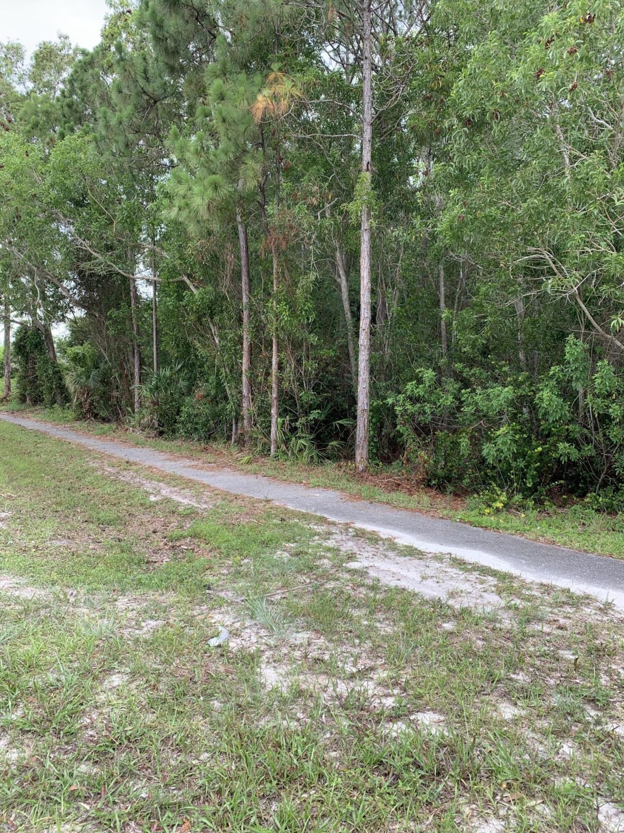 Xx Lot 3780 Mandarin/ 47 Th Court N, The Acreage, FL 33470 Photo