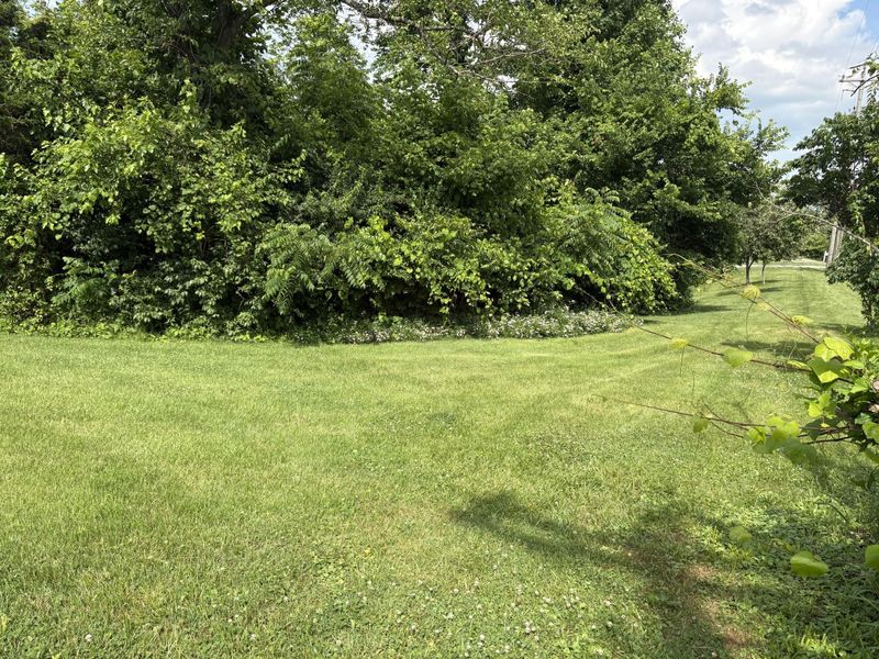 1814 Perry Lane, Burlington, KY 41005 Photo 35