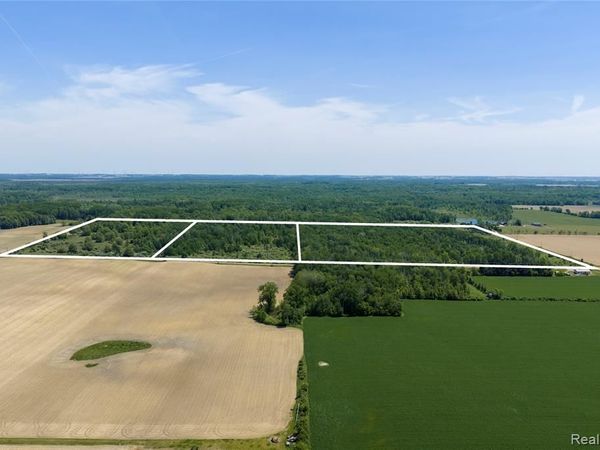 000 Freiburger Rd , Argyle Twp, MI 48472