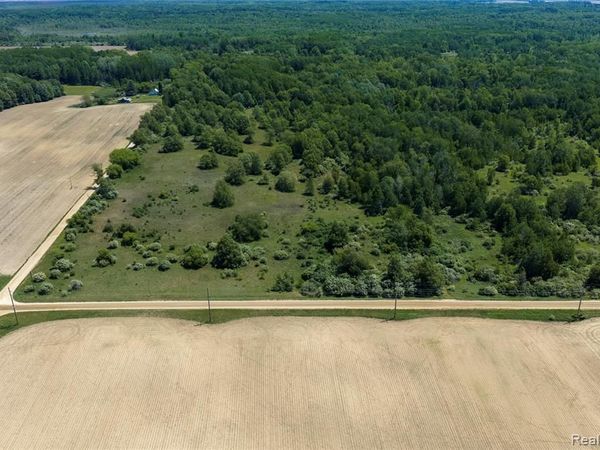 Parcel A Freiburger Rd , Argyle Twp, MI 48472