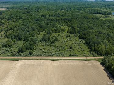 Parcel B Freiburger Rd, Argyle Twp, MI 48472