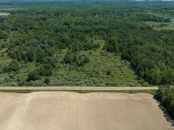 Parcel B Freiburger Rd , Argyle Twp, MI 48472