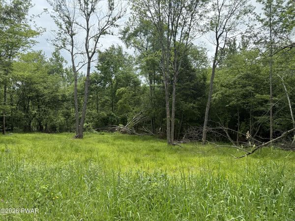 Beaver Hollow Road , Lakewood, PA 18439