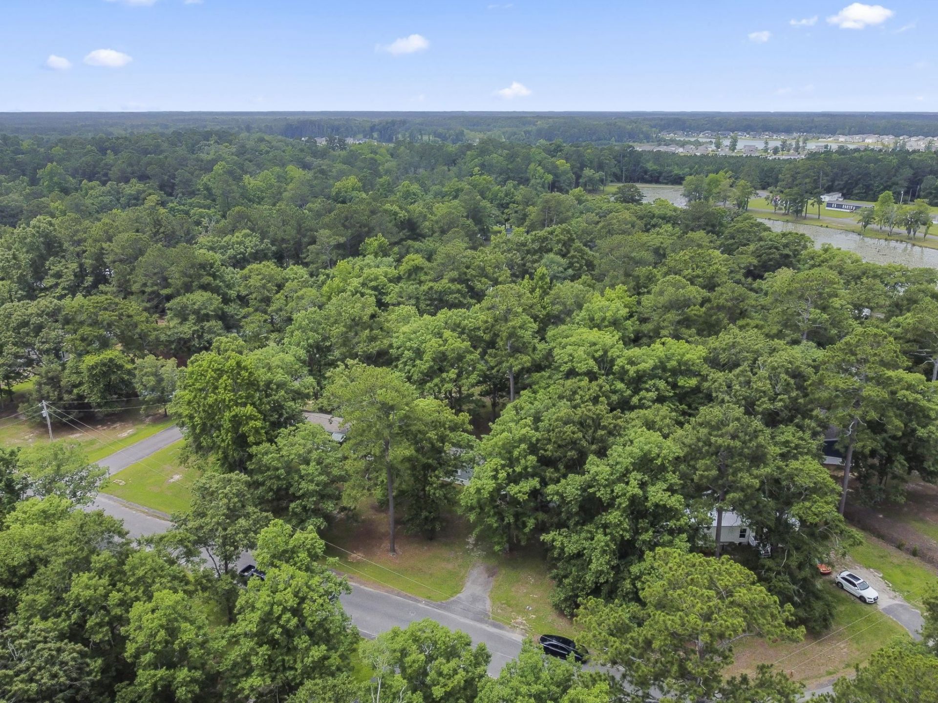 268 Williamson Lake Circle  Photo 30