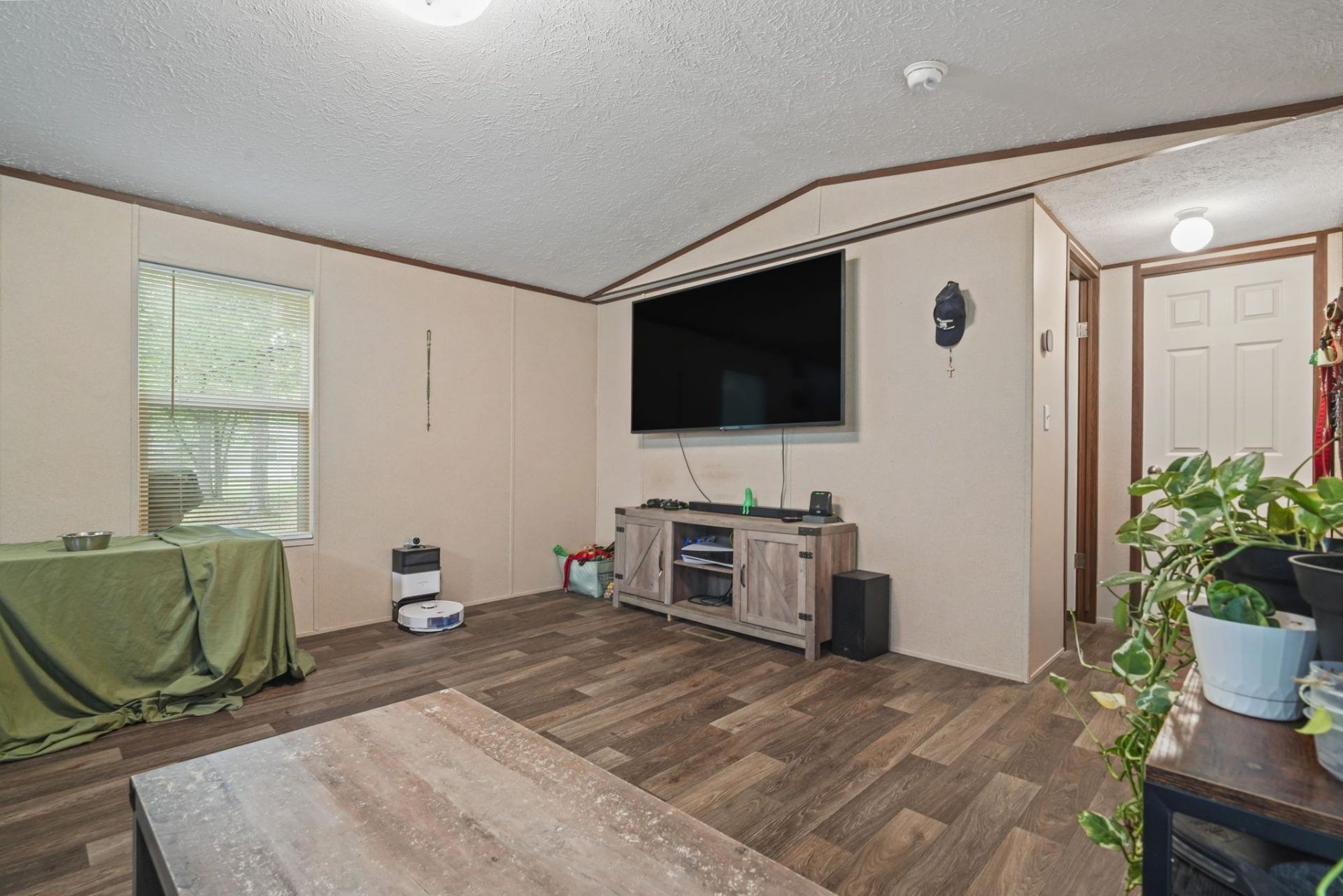 268 Williamson Lake Circle  Photo 9