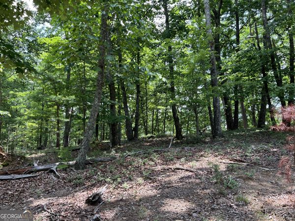 0 Planters Pointe Drive, Baldwin, GA 30511
