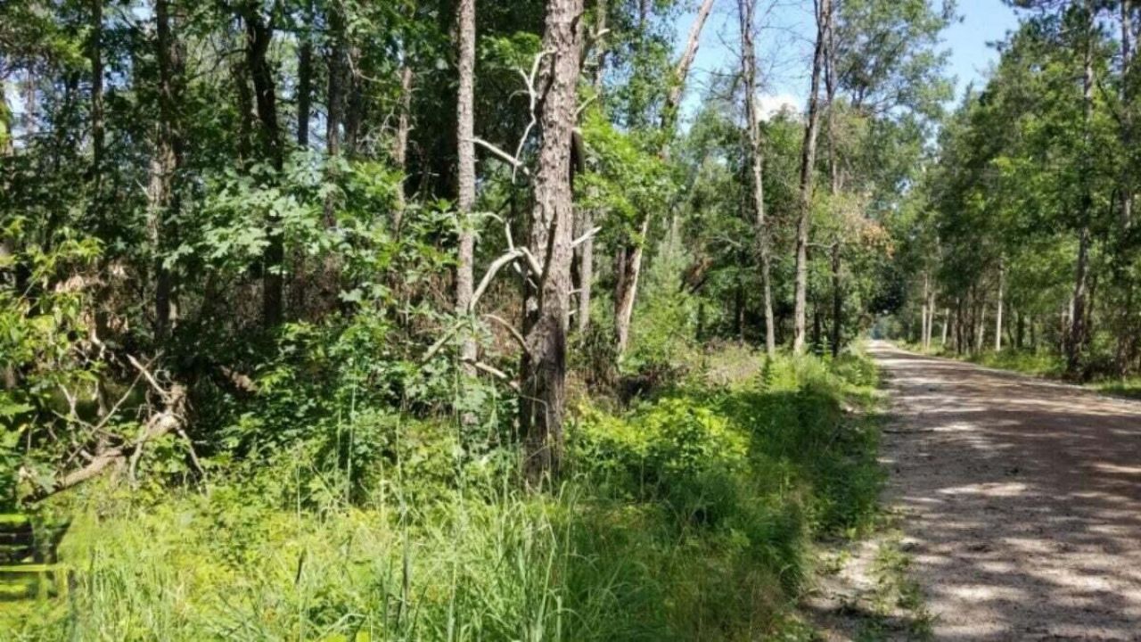 Parcel 4 Grove Street, Baldwin, MI 49304 Main Photo