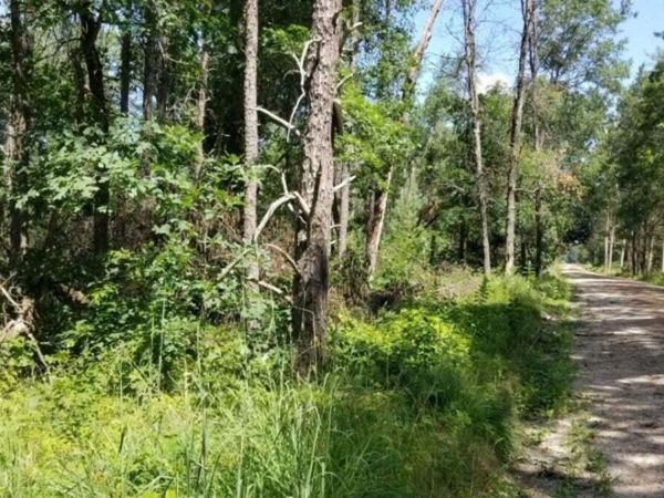 Parcel 4 Grove Street, Baldwin, MI 49304