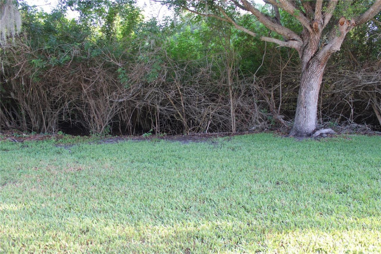 3931 Day Bridge Place, Ellenton, FL 34222 Photo