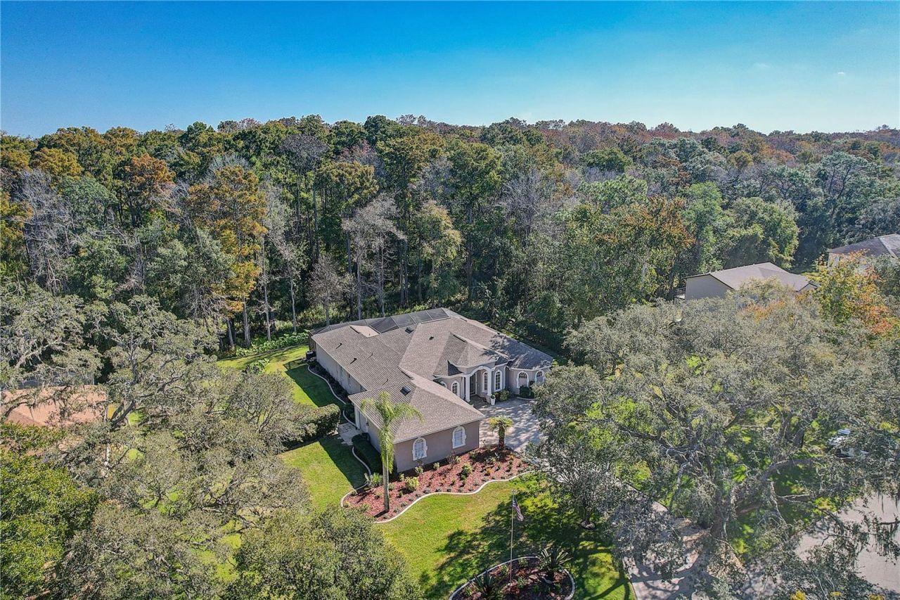 12054 Quail Ridge Drive , Spring Hill, FL 34610 Photo