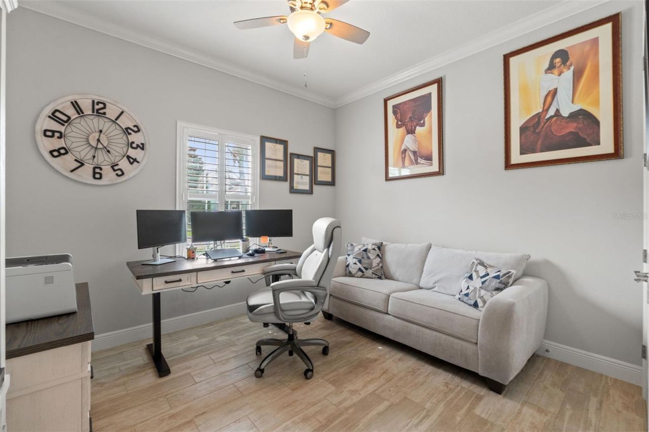8142 Water Color Drive , Land O Lakes, FL 34638 Photo