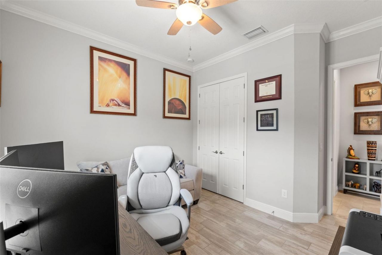 8142 Water Color Drive , Land O Lakes, FL 34638 Photo