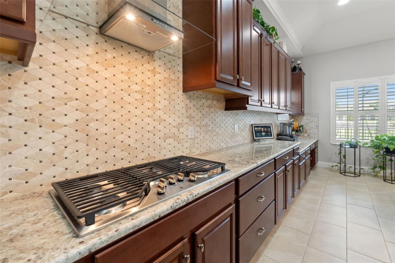 8142 Water Color Drive , Land O Lakes, FL 34638 Photo