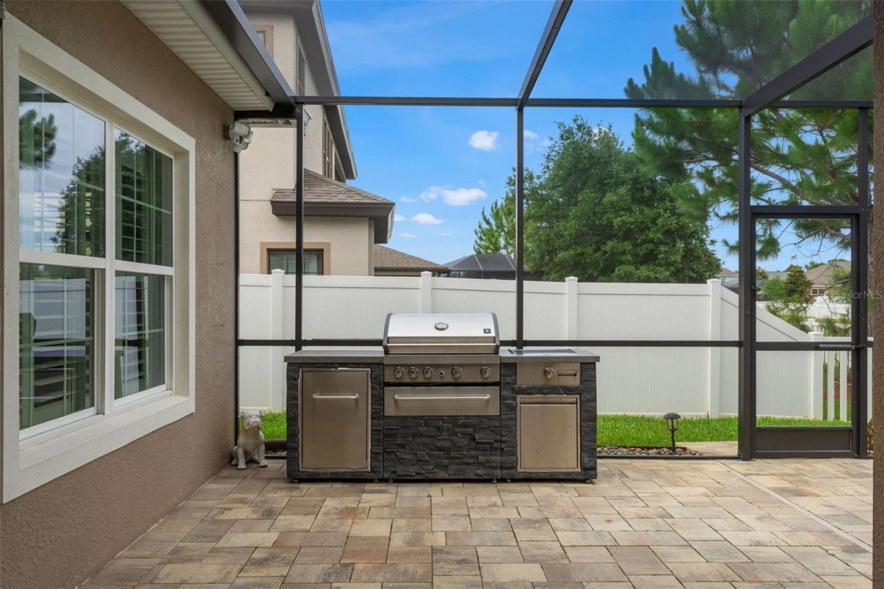 8142 Water Color Drive , Land O Lakes, FL 34638 Photo