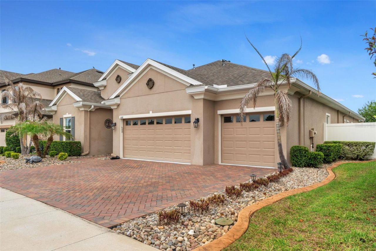 8142 Water Color Drive , Land O Lakes, FL 34638 Photo