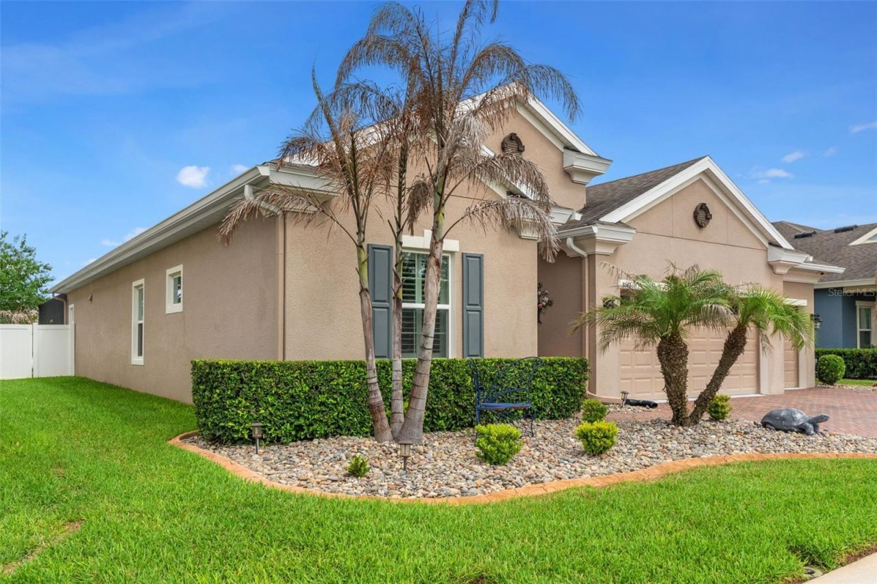 8142 Water Color Drive , Land O Lakes, FL 34638 Photo