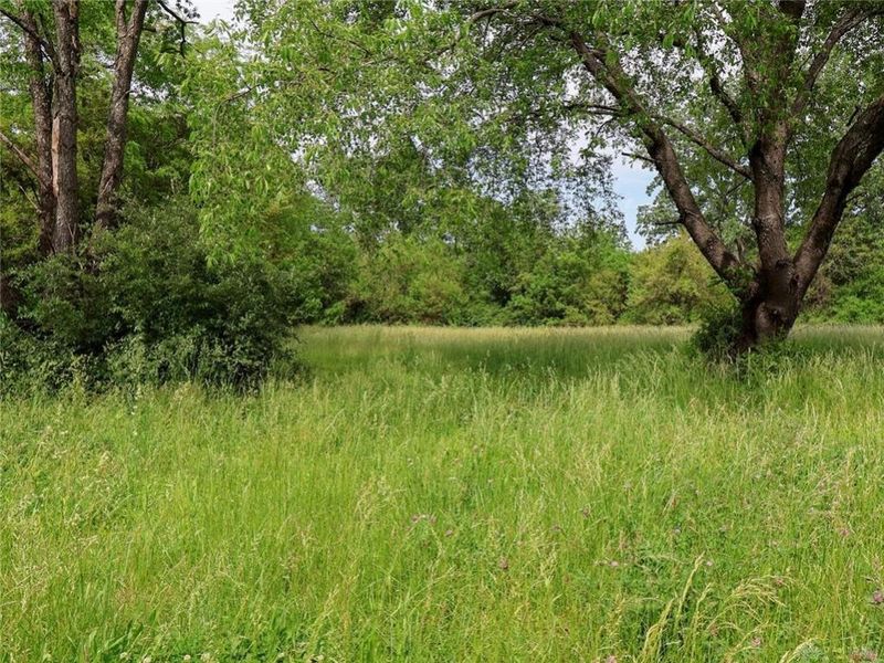 Tract 2 US 42, Xenia Township, OH 45385 Photo 17